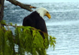 National Geographic out the front window…