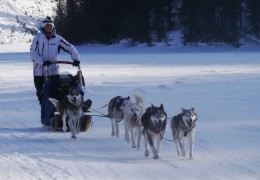 Yukon Quest Mushing- Part 2